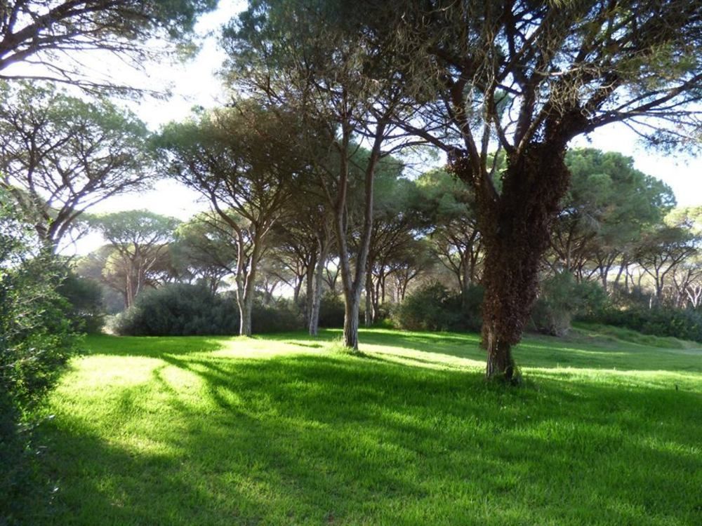 Hotel Fortezza Arborea Dış mekan fotoğraf